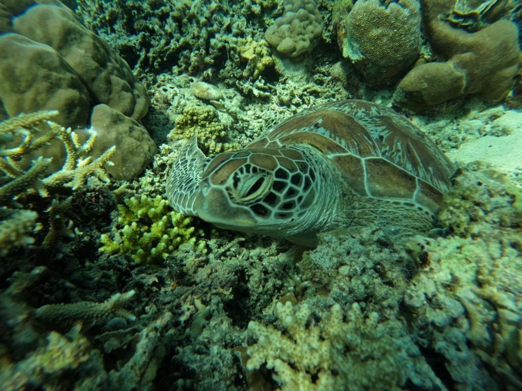 Gili Kulemba Bungalow ギリ・トラワンガン エクステリア 写真