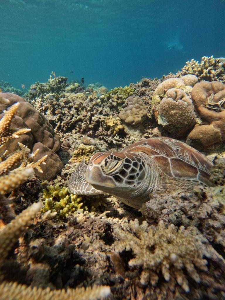 Gili Kulemba Bungalow ギリ・トラワンガン エクステリア 写真