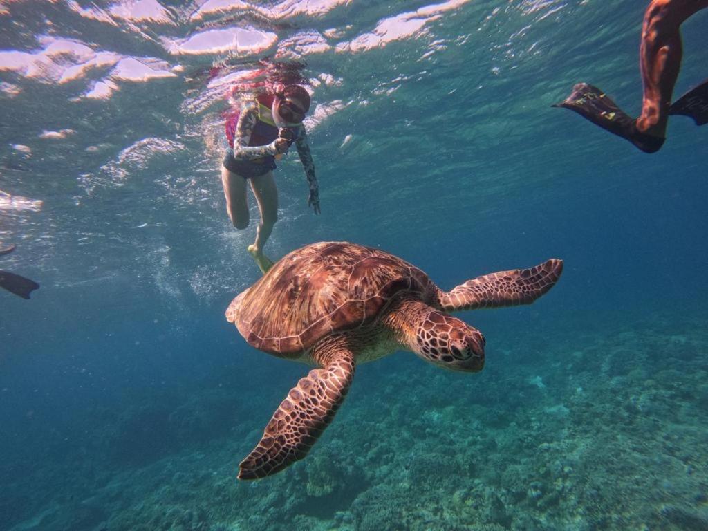 Gili Kulemba Bungalow ギリ・トラワンガン エクステリア 写真