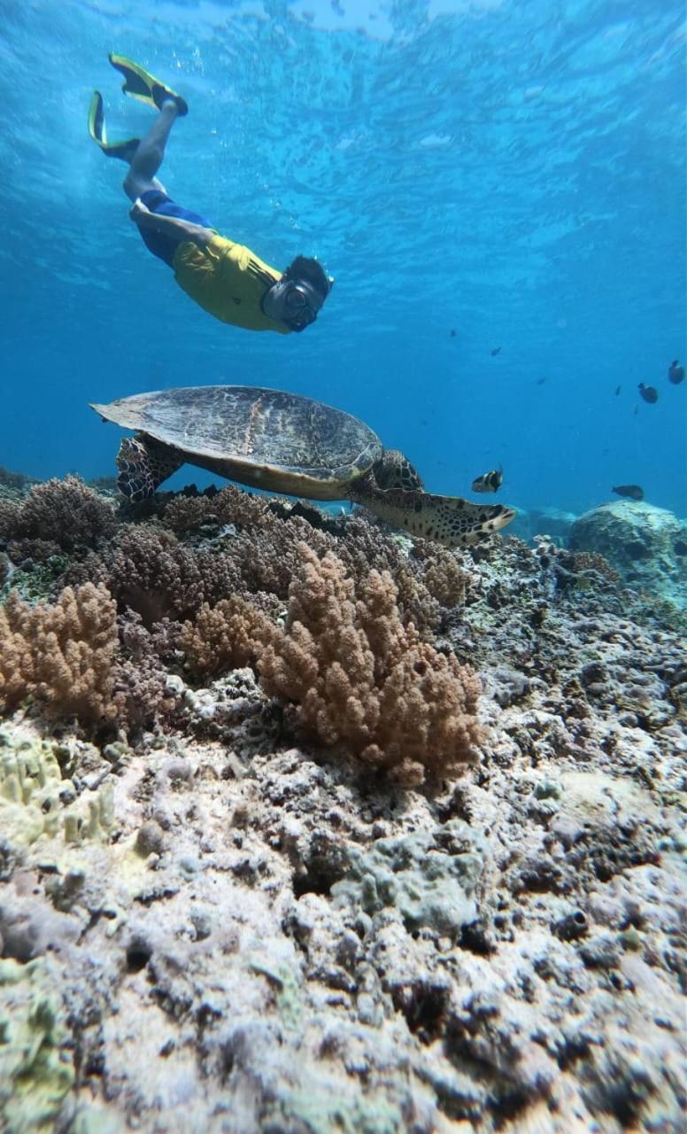 Gili Kulemba Bungalow ギリ・トラワンガン エクステリア 写真