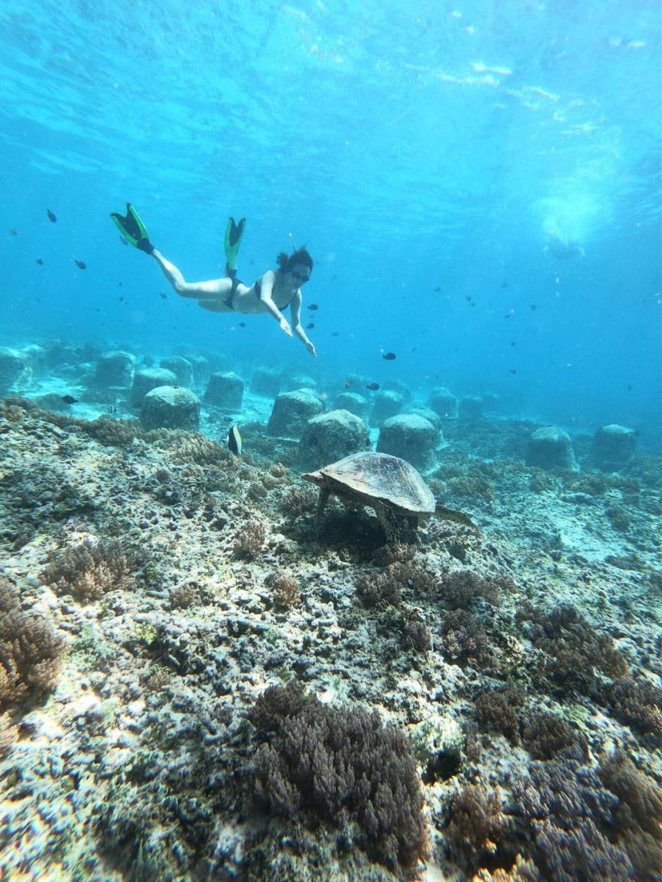 Gili Kulemba Bungalow ギリ・トラワンガン エクステリア 写真